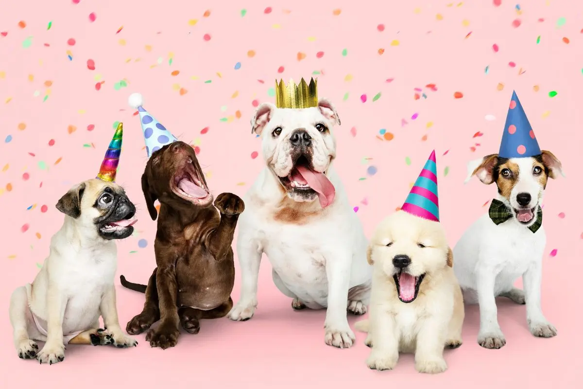 Municipios de Nuevo León celebrarán el Día Mundial del Perro. Foto: Freepik