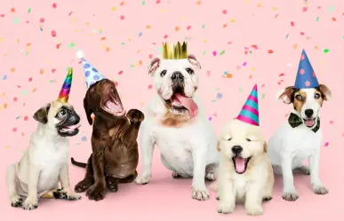 Día Mundial del Perro: así es como municipios de Nuevo León lo van a celebrar