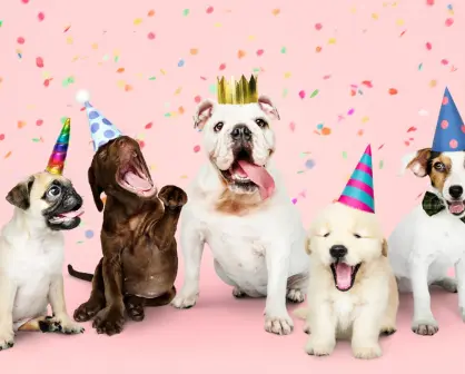 Día Mundial del Perro: así es como municipios de Nuevo León lo van a celebrar