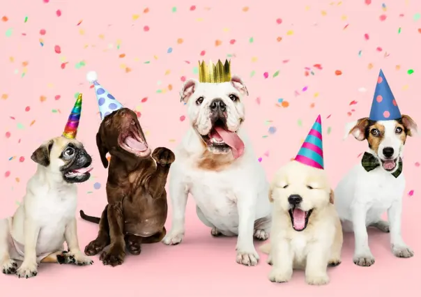 Día Mundial del Perro: así es como municipios de Nuevo León lo van a celebrar