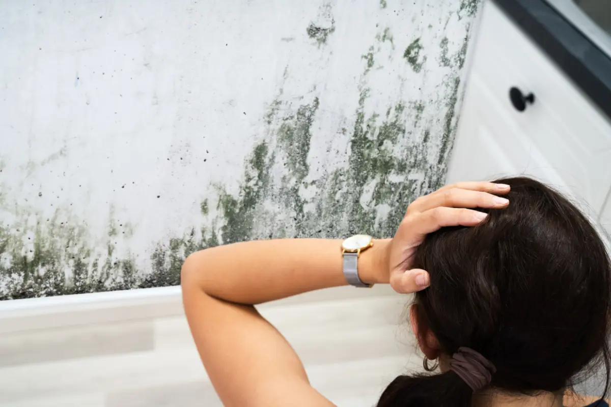 El moho en los hogares puede ser perjudicial para la salud, pero existen soluciones fáciles para eliminarlo definitivamente. Foto: Canva