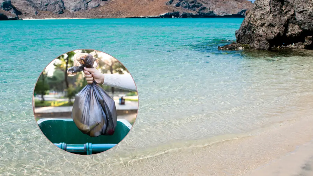 Vacaciones de verano en playas de La Paz: cómo cuidar el paraíso