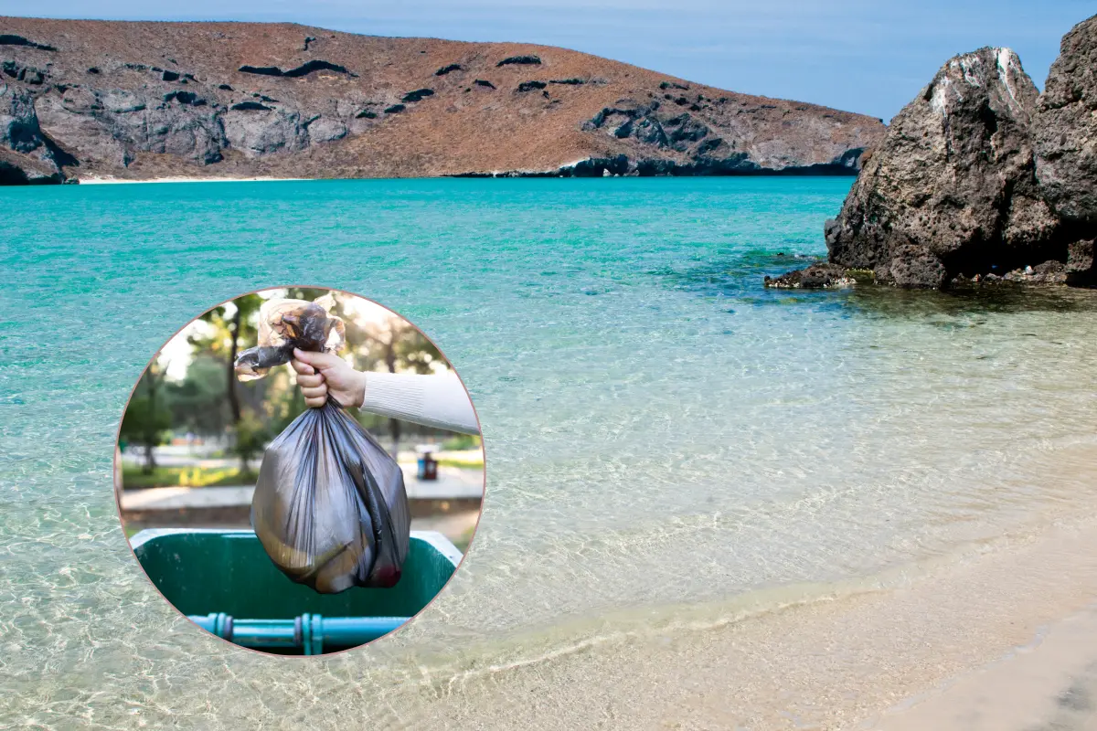 Para aprovechar al máximos tus vacaciones de verano, no cuesta mucho trabajo llevarse consigo la basura y mantener el paraíso limpio. Fotos: Canva.