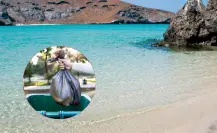Vacaciones de verano en playas de La Paz: cómo cuidar el paraíso