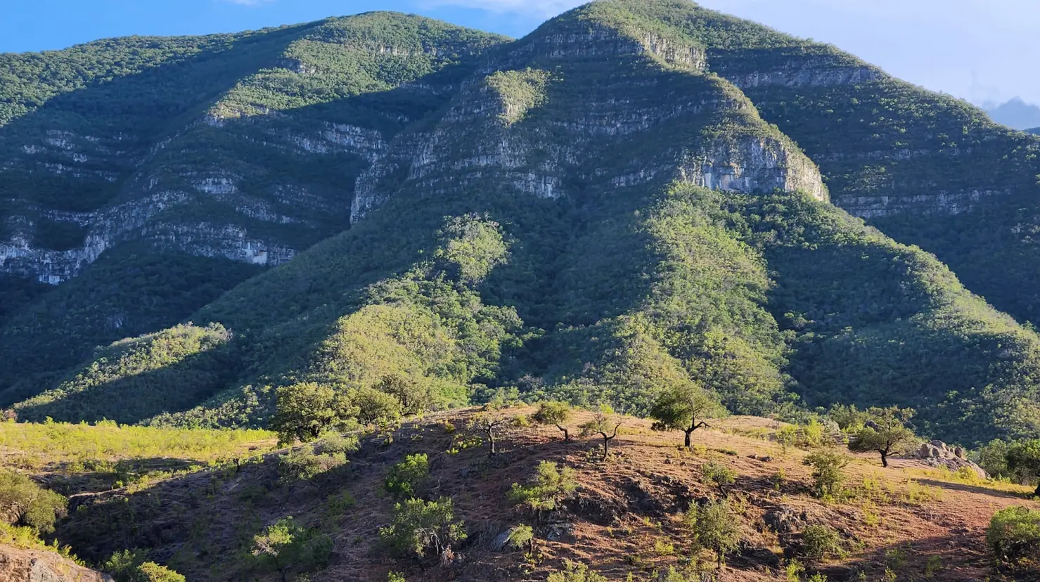 ¿Cuáles son los mejores lugares para hacer senderismo en Tamaulipas?
