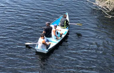 Niño desaparece tras caer a estero con cocodrilos en Michoacán
