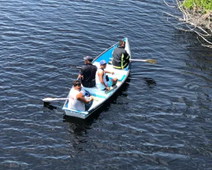 Niño desaparece tras caer a estero con cocodrilos en Michoacán