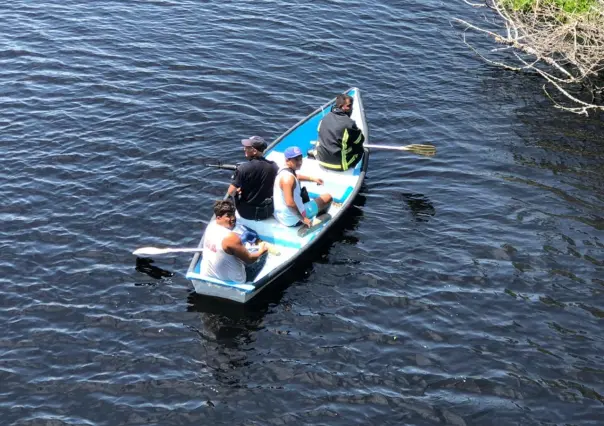 Niño desaparece tras caer a estero con cocodrilos en Michoacán