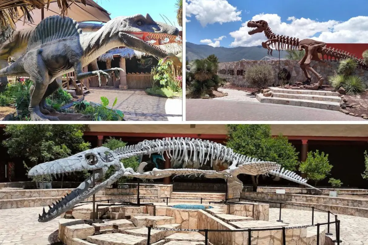 : Museo del Desierto l Canva