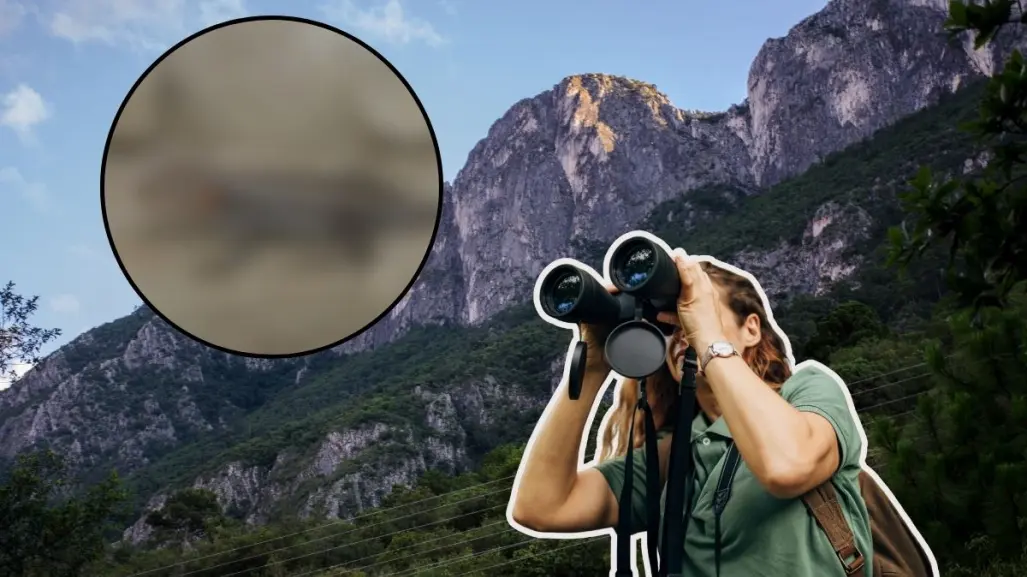 Este animal nativo de Nuevo León puede brillar en las sierras del estado