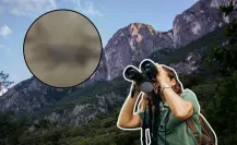 Este animal nativo de Nuevo León puede brillar en las sierras del estado