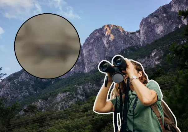 Este animal nativo de Nuevo León puede brillar en las sierras del estado