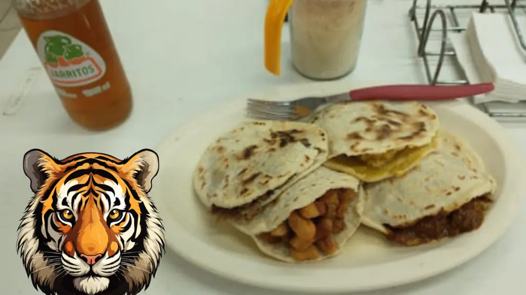 ¿Cómo una empresa de gorditas se volvió tradición en Ciudad Victoria? El caso de El Tigre