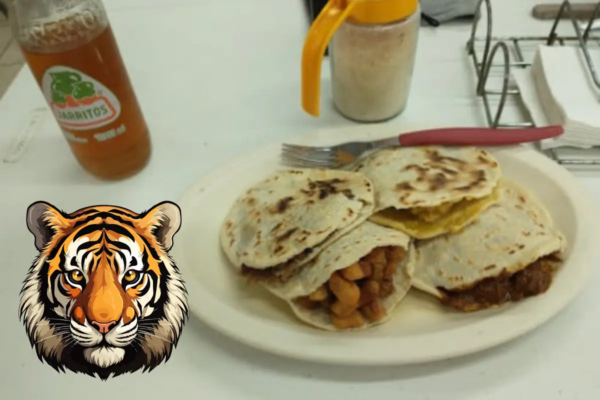 Lo que empezó como un pequeño local con anafres y masa fresca, hoy es un punto de encuentro obligado para quienes buscan comer rico, sin complicaciones y con el sazón de casa. Foto: Posta Tamaulipas