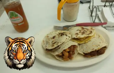 ¿Cómo una empresa de gorditas se volvió tradición en Ciudad Victoria? El caso de El Tigre