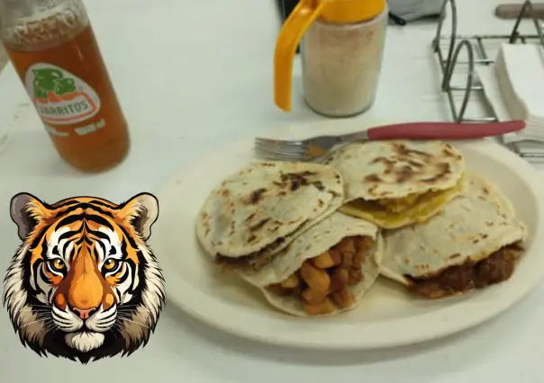 ¿Cómo una empresa de gorditas se volvió tradición en Ciudad Victoria? El caso de El Tigre