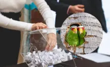 Invitan a los yucatecos a participar en una rifa para apoyar al Proyecto Santa María