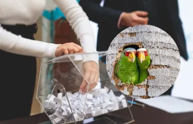 Invitan a los yucatecos a participar en una rifa para apoyar al Proyecto Santa María