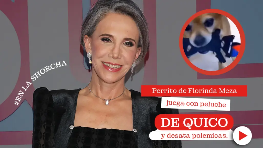 Perro de Florinda Meza juega con peluche de Quico y desata polémica