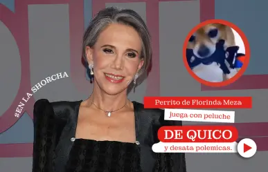 Perro de Florinda Meza juega con peluche de Quico y desata polémica