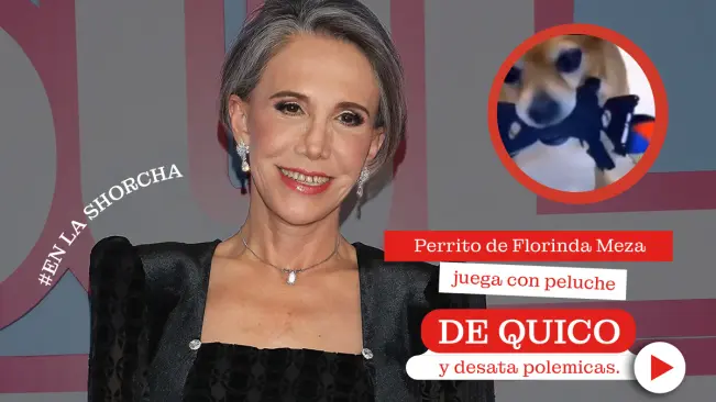 Perro de Florinda Meza juega con peluche de Quico y desata polémica