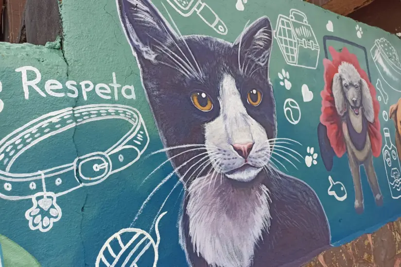 Esperan fomentar conciencia mediante el arte de la pintura | Foto: KnProject