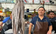Temporada de captura de pulpo en Yucatán: este es el panorama en los mercados de Mérida