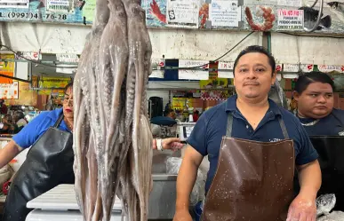 Temporada de captura de pulpo en Yucatán: este es el panorama en los mercados de Mérida