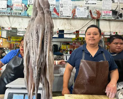 Temporada de captura de pulpo en Yucatán: este es el panorama en los mercados de Mérida
