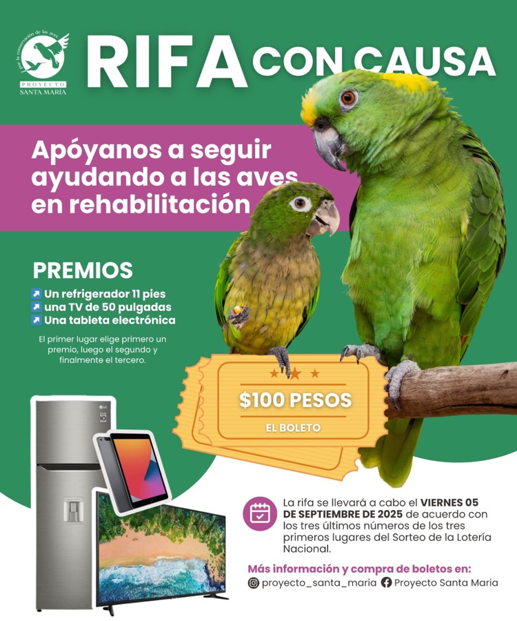 imagen-cuerpo imagen-cuerpo