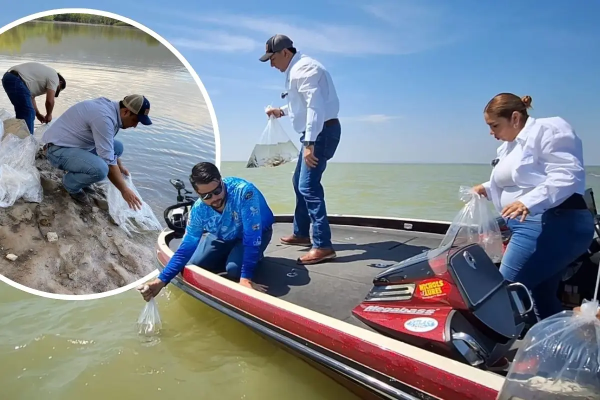 Así se realizó la siembra de peces en presas de Coahuila según la SDR / Fotos: Gobierno de Coahuila | Canva