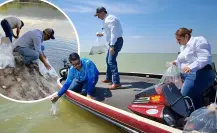 Coahuila siembra 100 mil peces para conservar ecosistema; un impulso a la actividad pesquera