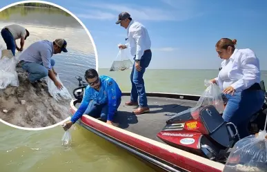 Coahuila siembra 100 mil peces para conservar ecosistema; un impulso a la actividad pesquera