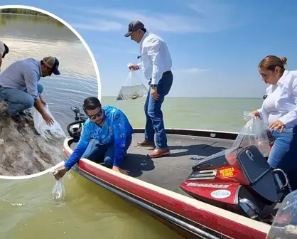 Coahuila siembra 100 mil peces para conservar ecosistema; un impulso a la actividad pesquera