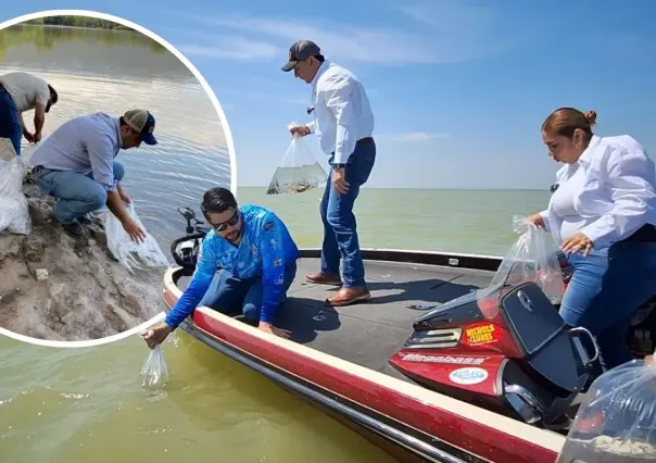 Coahuila siembra 100 mil peces para conservar ecosistema; un impulso a la actividad pesquera