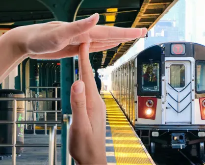 Tren Saltillo - Nuevo Laredo, retrasado por falta de licitaciones, ¿qué pasó? 