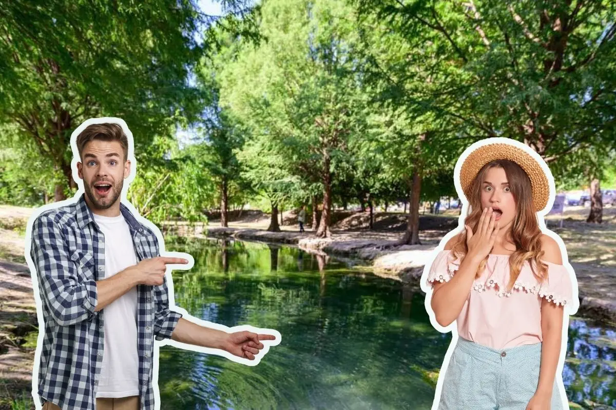 El ojo de agua de Jardines del Canadá tiene peces, tortugas y anfibios que podrás apreciar en tu visita. Foto: Facebook Andrés Mijes / Canva