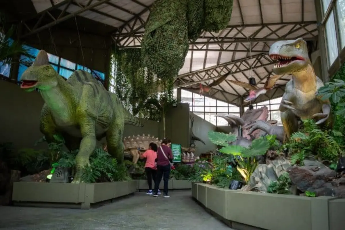 ZooAventuras ubicada en CDMX. Foto: elsouvenir.com | Canva