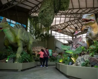 Vacaciones en CDMX: ZooAventuras da 2×1 a estudiantes con buenas calificaciones