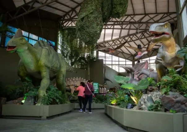 Vacaciones en CDMX: ZooAventuras da 2×1 a estudiantes con buenas calificaciones