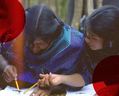 Analfabetismo en México : Una deuda pendiente con mujeres y pueblos indígenas