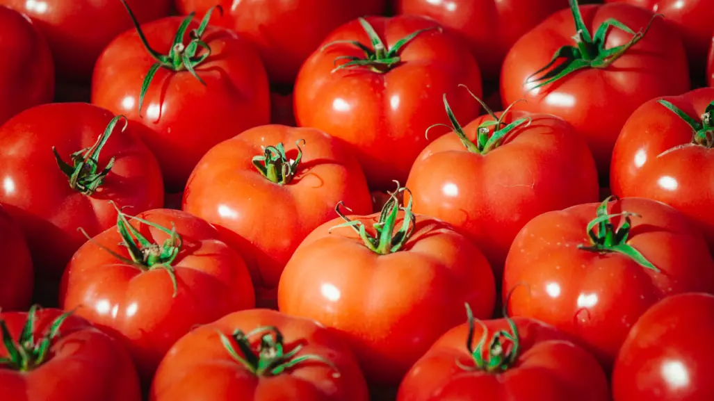 Casa Blanca afirma que tarifa a jitomate mexicano ya están impulsando a los agricultores de EU