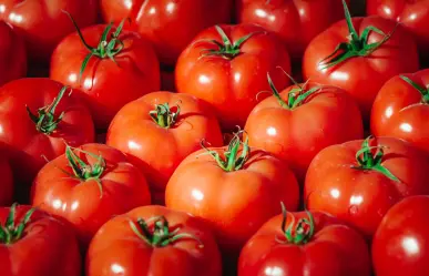 Casa Blanca afirma que tarifa a jitomate mexicano ya están impulsando a los agricultores de EU