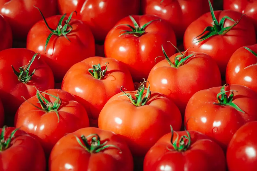 Casa Blanca afirma que tarifa a jitomate mexicano ya están impulsando a los agricultores de EU
