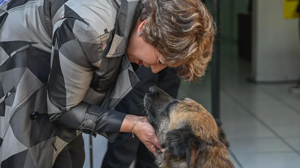 Delfina Gómez propone castigar con 12 años de cárcel a quien mate perros en Edomex