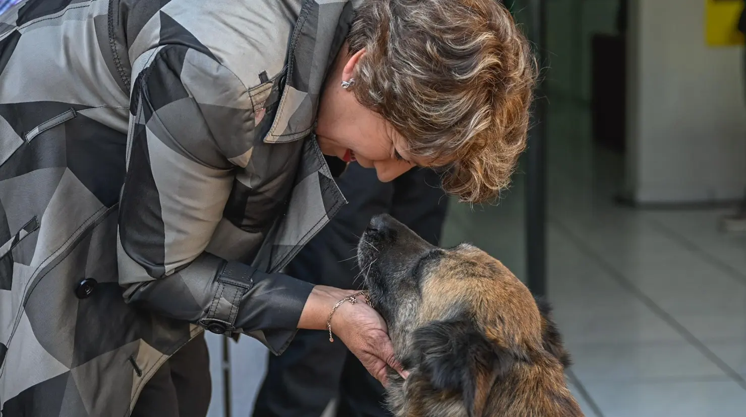 Gobernadora del Estado de México acariciando a un perro. Foto: X/ @delfinagomeza (Canva)