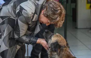 Delfina Gómez propone castigar con 12 años de cárcel a quien mate perros en Edomex