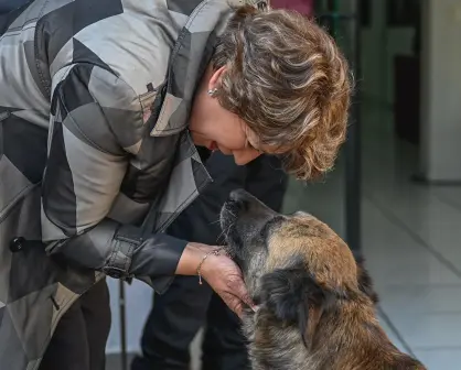 Delfina Gómez propone castigar con 12 años de cárcel a quien mate perros en Edomex