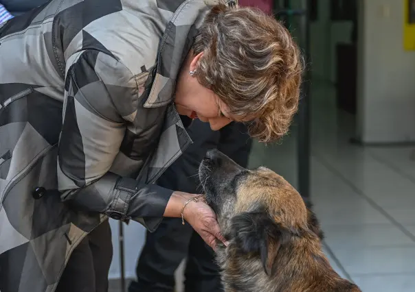 Delfina Gómez propone castigar con 12 años de cárcel a quien mate perros en Edomex