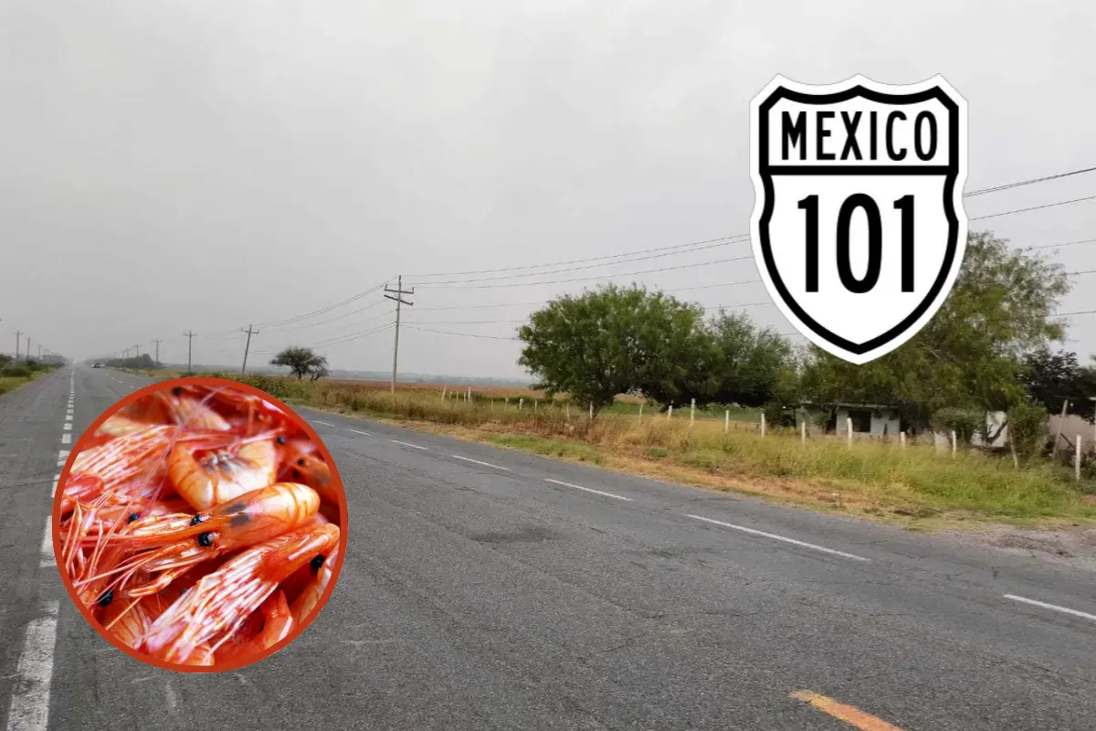 No es sorpresa que locales los recomienden: “puedes comprar los camarones secos enchilados más ricos de la región”, escribió un viajero en redes. Foto: Posta Tamaulipas